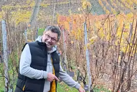 Herbstliches Picknick zwischen Weinreben im Ahrtal