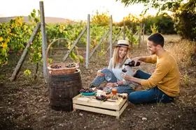 Romantisches Picknick zu zweit im Weinberg im Ahrtal